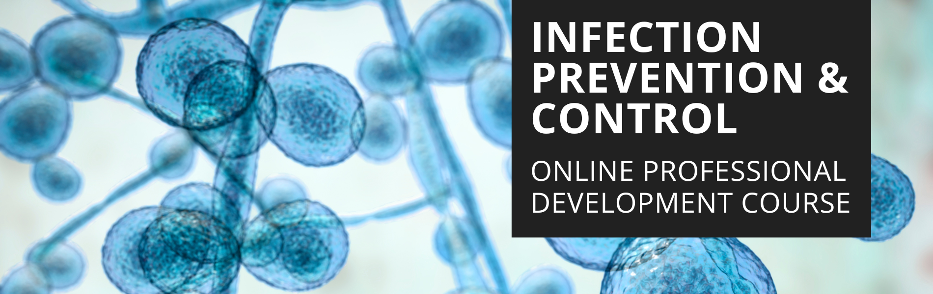 Infection Prevention & Control Online Professional Development Course